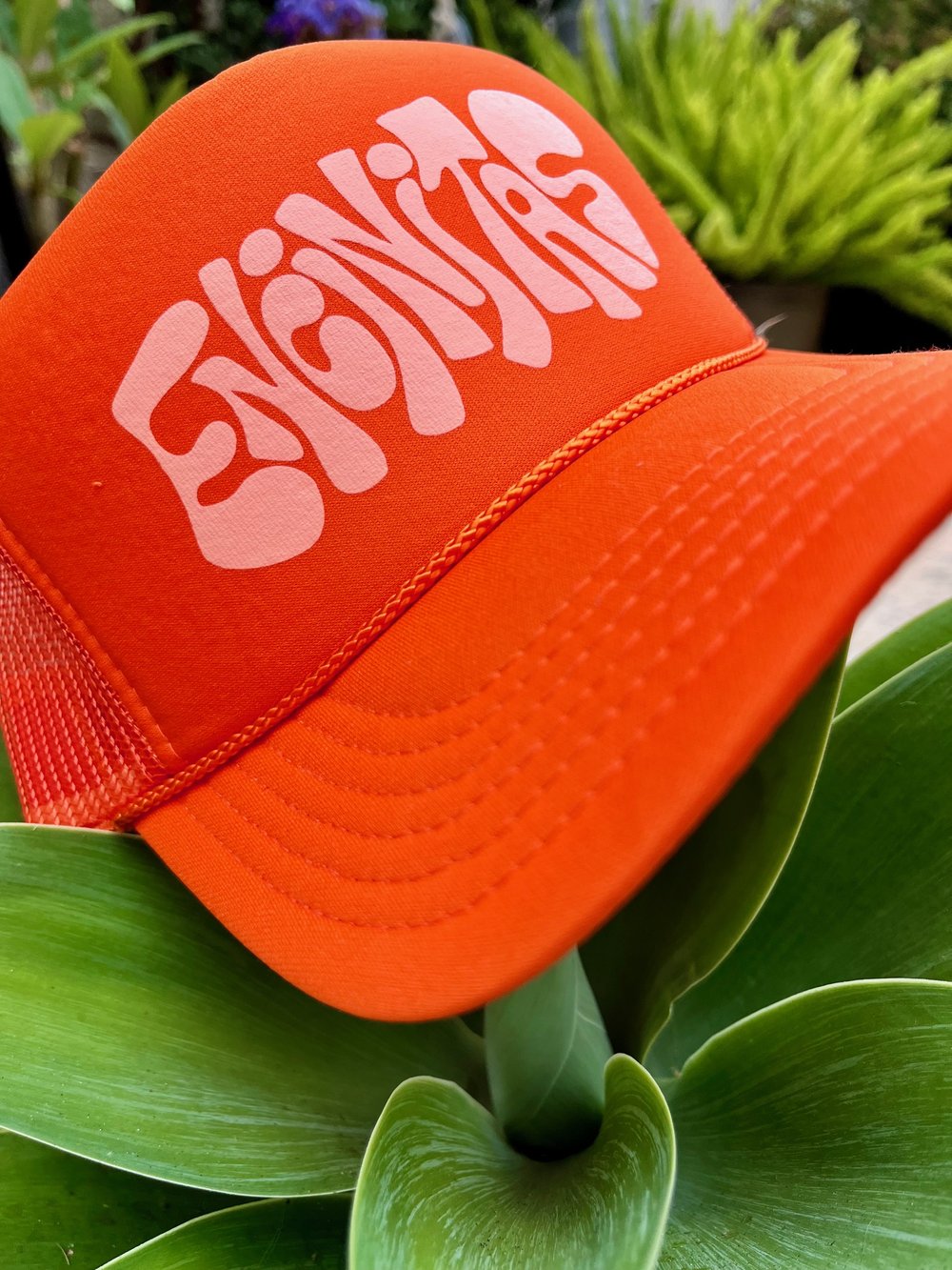 Encinitas Trucker