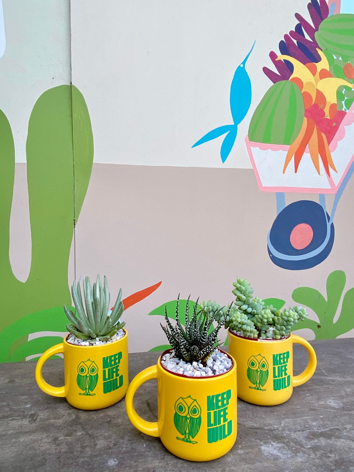 Coffee Cup 14oz "Keep Life Wild"